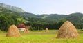 Traditional Haystack a typical view in the Balkan country side